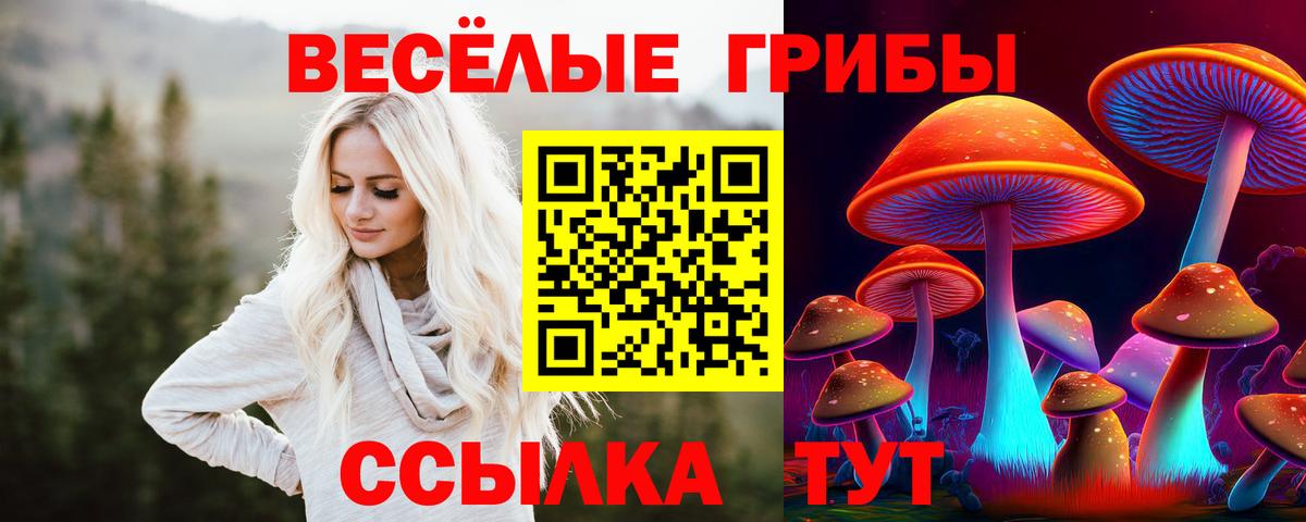 Псилоцибиновые грибы ЛСД  Туймазы 