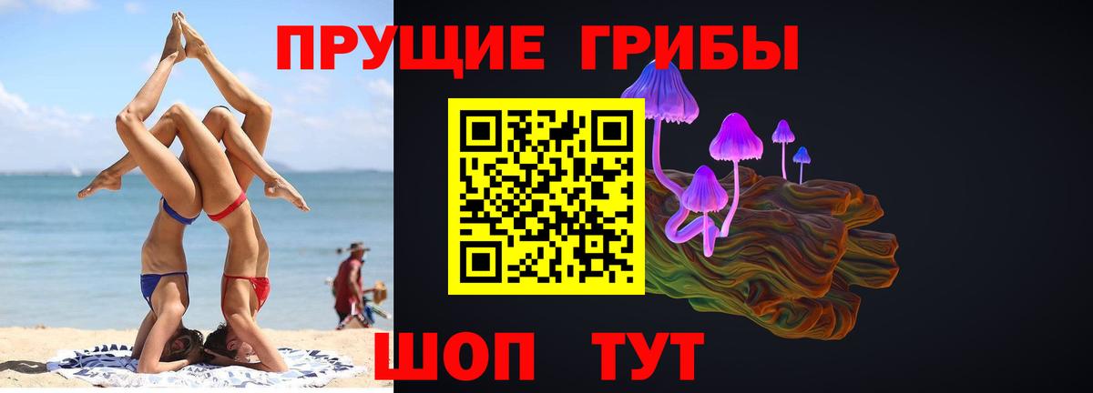 Галлюциногенные грибы GOLDEN TEACHER Туймазы